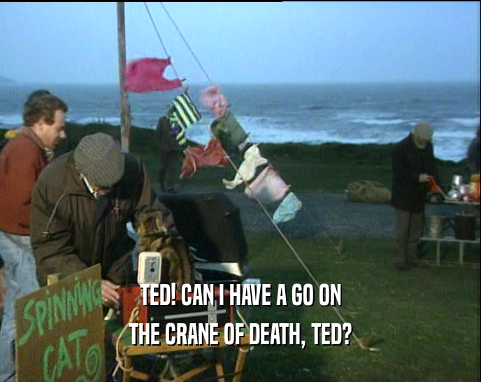 TED! CAN I HAVE A GO ON THE CRANE OF DEATH, TED? 