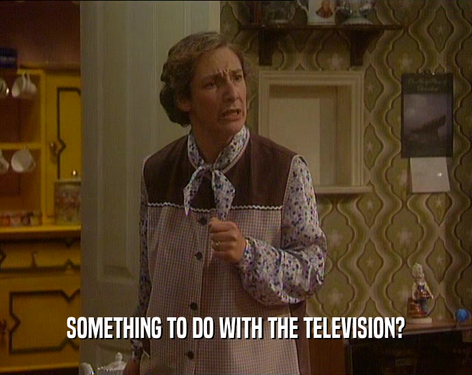 SOMETHING TO DO WITH THE TELEVISION?  