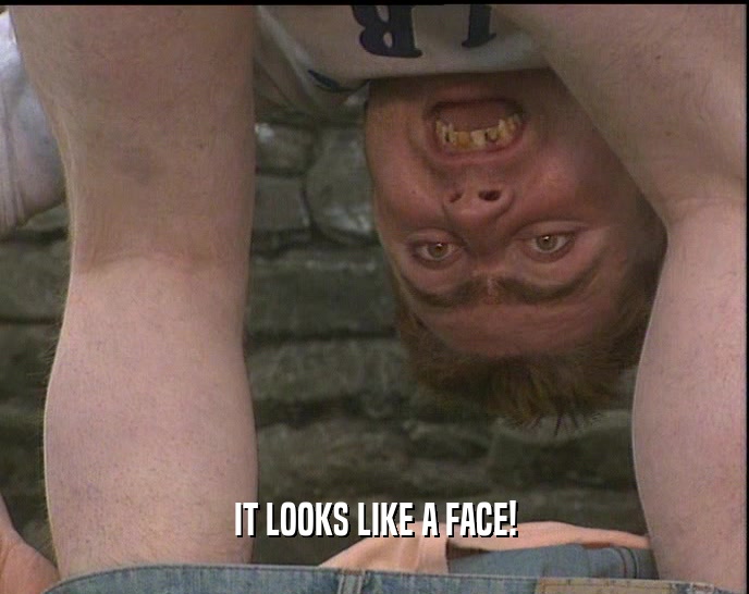 IT LOOKS LIKE A FACE!  