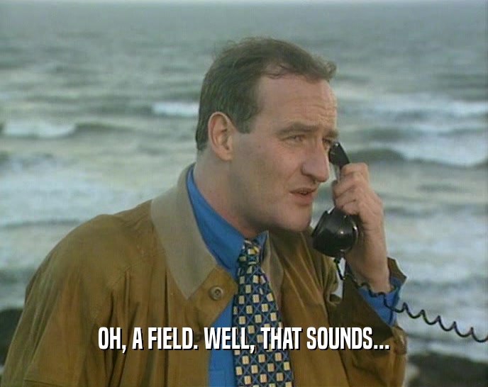 OH, A FIELD. WELL, THAT SOUNDS...  