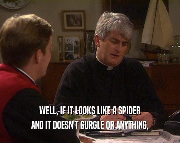 WELL, IF IT LOOKS LIKE A SPIDER AND IT DOESN'T GURGLE OR ANYTHING, 