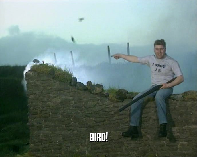 BIRD!  