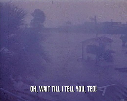 OH, WAIT TILL I TELL YOU, TED!  