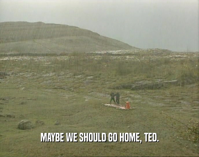 MAYBE WE SHOULD GO HOME, TED.  