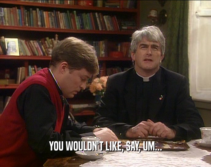 YOU WOULDN'T LIKE, SAY, UM...  