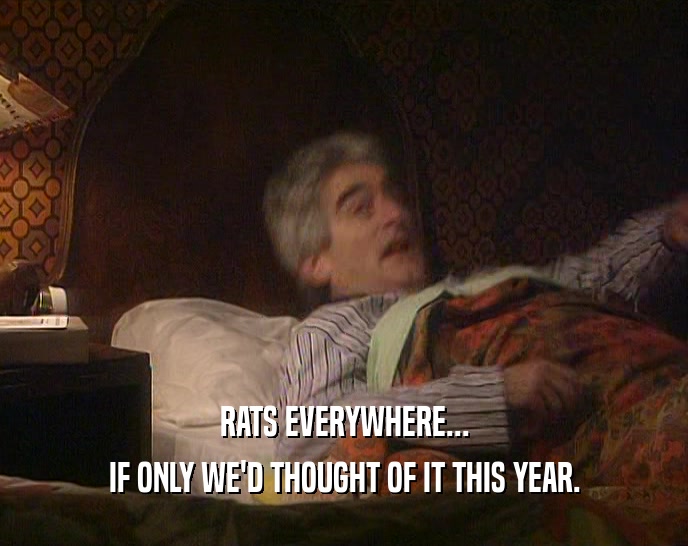 RATS EVERYWHERE... IF ONLY WE'D THOUGHT OF IT THIS YEAR. 