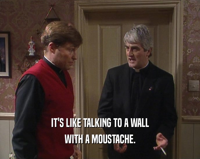 IT'S LIKE TALKING TO A WALL WITH A MOUSTACHE. 