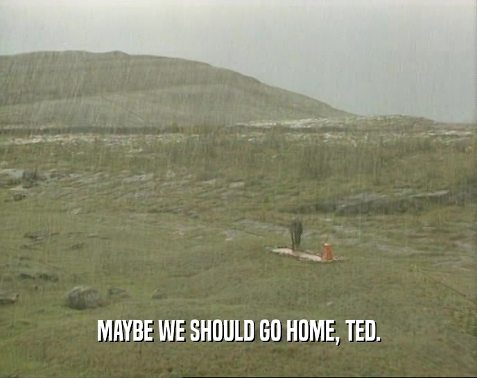 MAYBE WE SHOULD GO HOME, TED.  