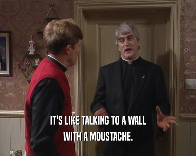IT'S LIKE TALKING TO A WALL WITH A MOUSTACHE. 
