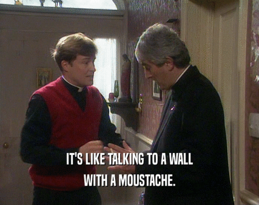 IT'S LIKE TALKING TO A WALL
 WITH A MOUSTACHE.
 