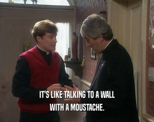 IT'S LIKE TALKING TO A WALL WITH A MOUSTACHE. 