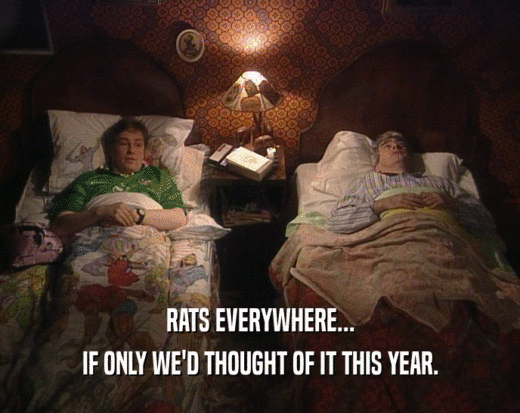 RATS EVERYWHERE...
 IF ONLY WE'D THOUGHT OF IT THIS YEAR.
 