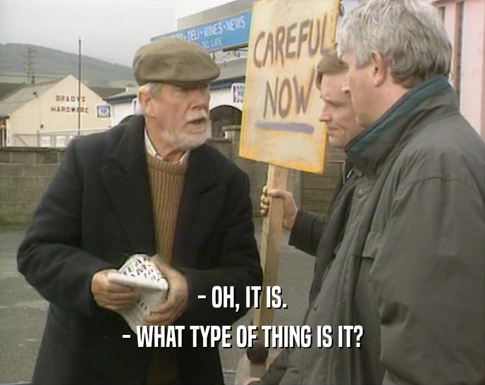 - OH, IT IS. - WHAT TYPE OF THING IS IT? 