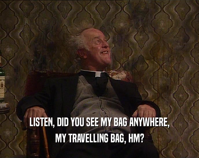 LISTEN, DID YOU SEE MY BAG ANYWHERE, MY TRAVELLING BAG, HM? 