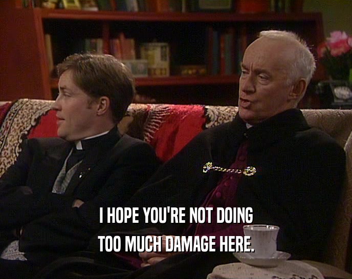 I HOPE YOU'RE NOT DOING TOO MUCH DAMAGE HERE. 