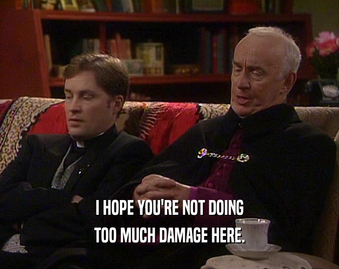 I HOPE YOU'RE NOT DOING TOO MUCH DAMAGE HERE. 