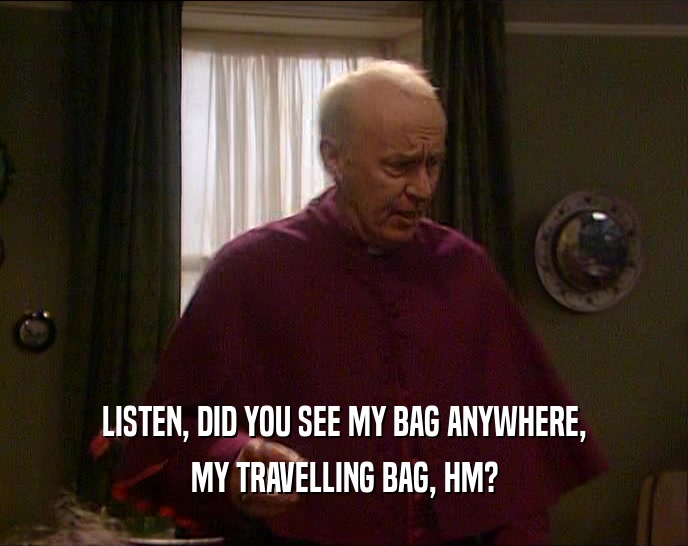 LISTEN, DID YOU SEE MY BAG ANYWHERE, MY TRAVELLING BAG, HM? 