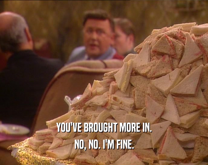 YOU'VE BROUGHT MORE IN. NO, NO. I'M FINE. 