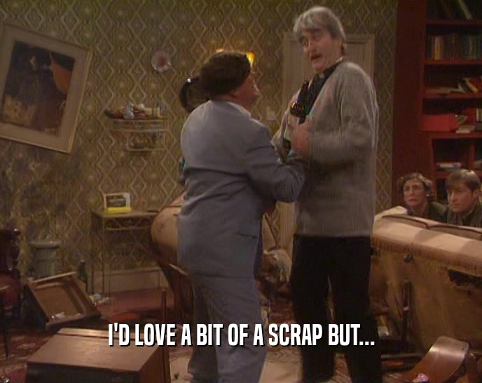 I'D LOVE A BIT OF A SCRAP BUT...  