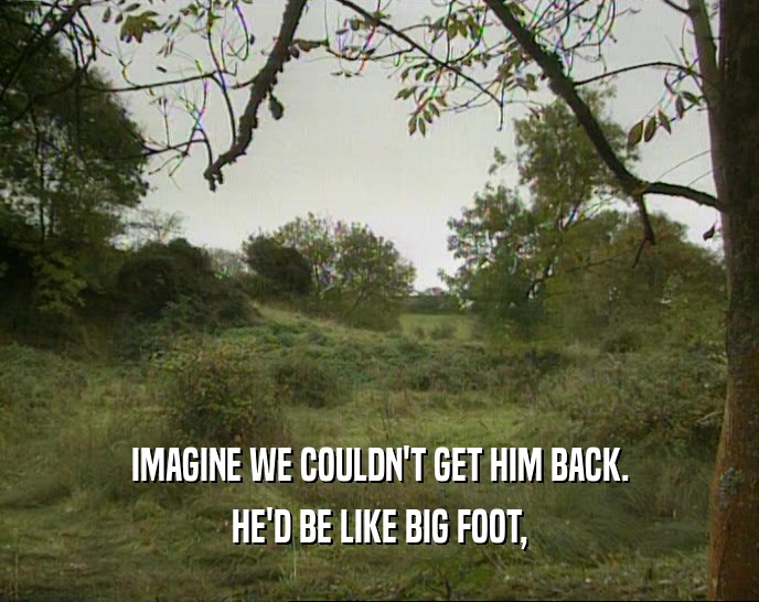IMAGINE WE COULDN'T GET HIM BACK. HE'D BE LIKE BIG FOOT, 