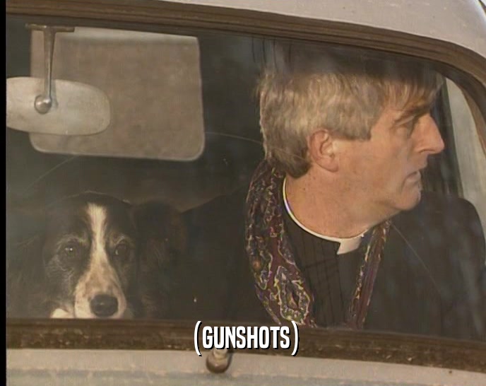 (GUNSHOTS)  