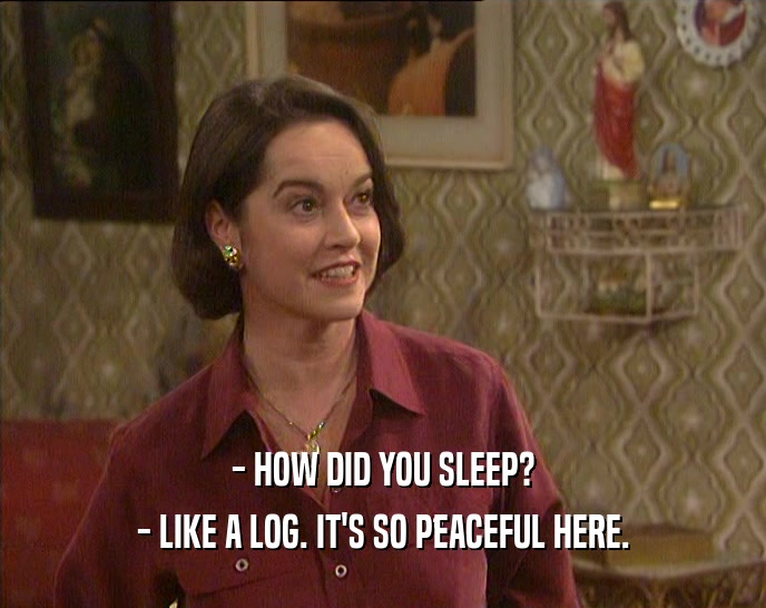 - HOW DID YOU SLEEP? - LIKE A LOG. IT'S SO PEACEFUL HERE. 