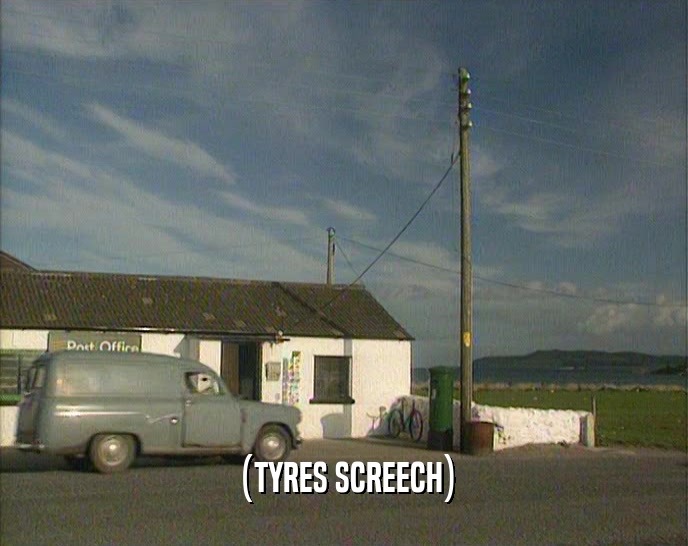 (TYRES SCREECH)  