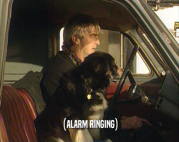 (ALARM RINGING)  