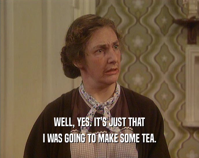 WELL, YES. IT'S JUST THAT I WAS GOING TO MAKE SOME TEA. 