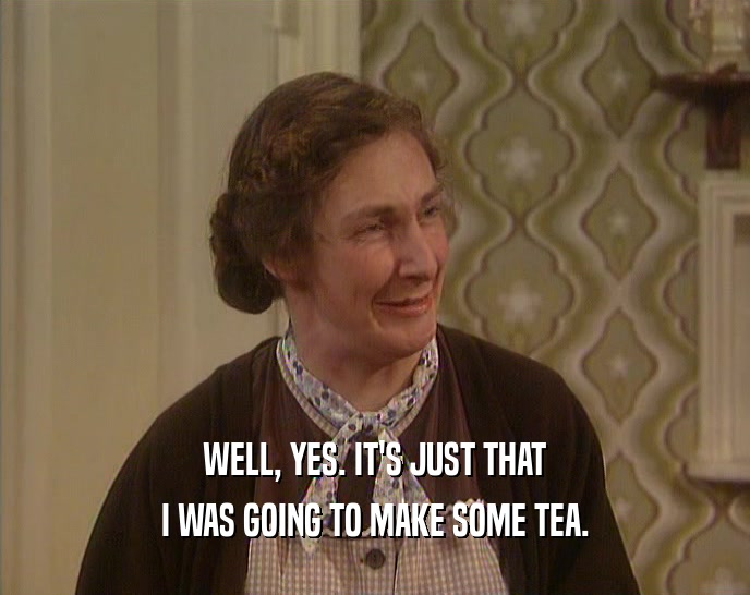 WELL, YES. IT'S JUST THAT I WAS GOING TO MAKE SOME TEA. 