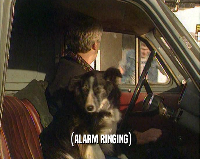 (ALARM RINGING)  