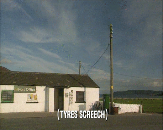 (TYRES SCREECH)  