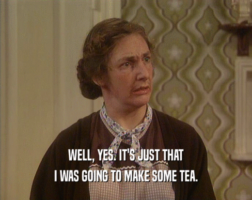WELL, YES. IT'S JUST THAT I WAS GOING TO MAKE SOME TEA. 
