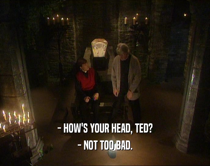 - HOW'S YOUR HEAD, TED? - NOT TOO BAD. 