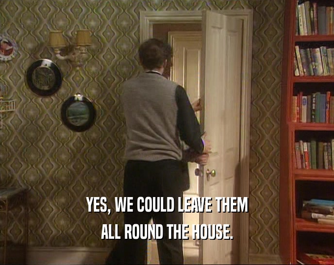 YES, WE COULD LEAVE THEM ALL ROUND THE HOUSE. 