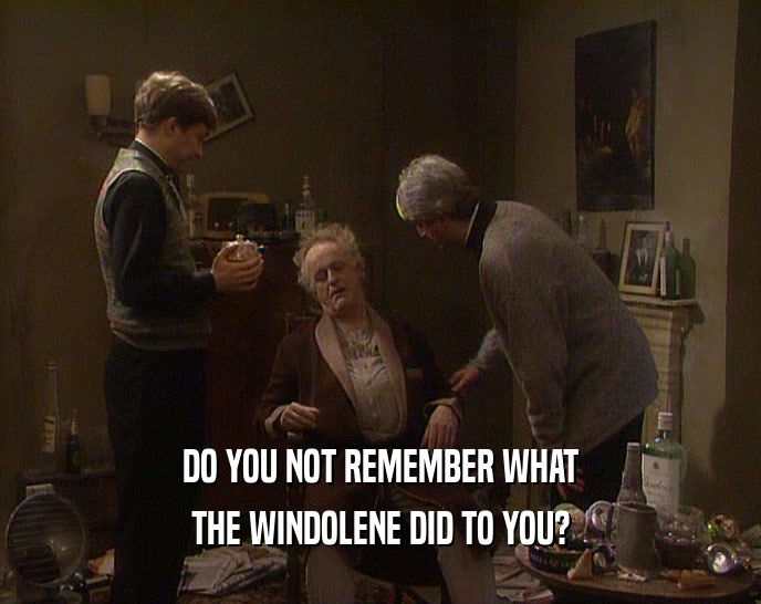 DO YOU NOT REMEMBER WHAT
 THE WINDOLENE DID TO YOU?
 