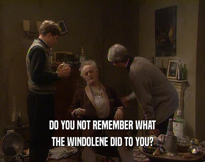 DO YOU NOT REMEMBER WHAT
 THE WINDOLENE DID TO YOU?
 