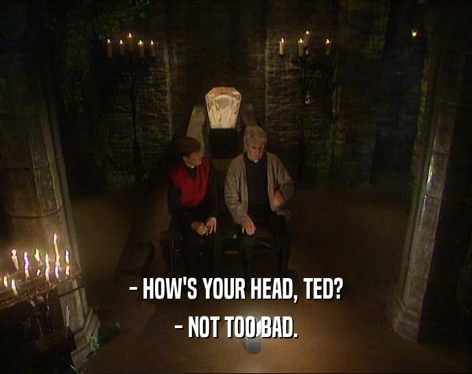 - HOW'S YOUR HEAD, TED? - NOT TOO BAD. 
