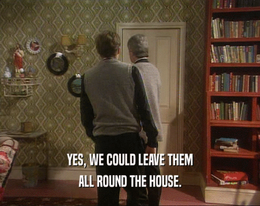 YES, WE COULD LEAVE THEM ALL ROUND THE HOUSE. 
