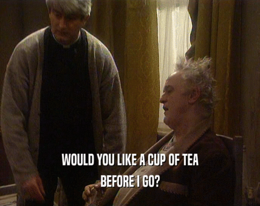 WOULD YOU LIKE A CUP OF TEA BEFORE I GO? 