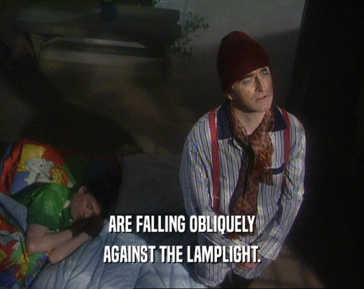 ARE FALLING OBLIQUELY
 AGAINST THE LAMPLIGHT.
 
