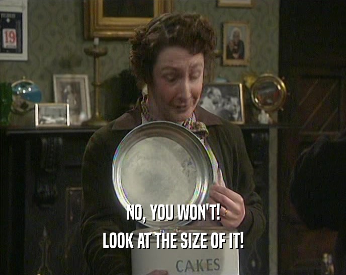NO, YOU WON'T! LOOK AT THE SIZE OF IT! 