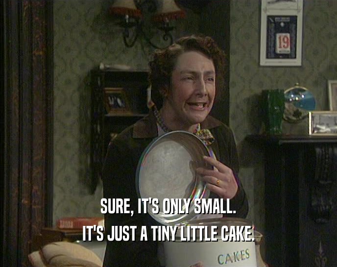 SURE, IT'S ONLY SMALL. IT'S JUST A TINY LITTLE CAKE. 