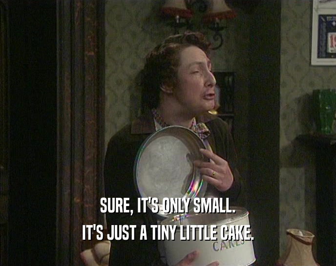 SURE, IT'S ONLY SMALL. IT'S JUST A TINY LITTLE CAKE. 