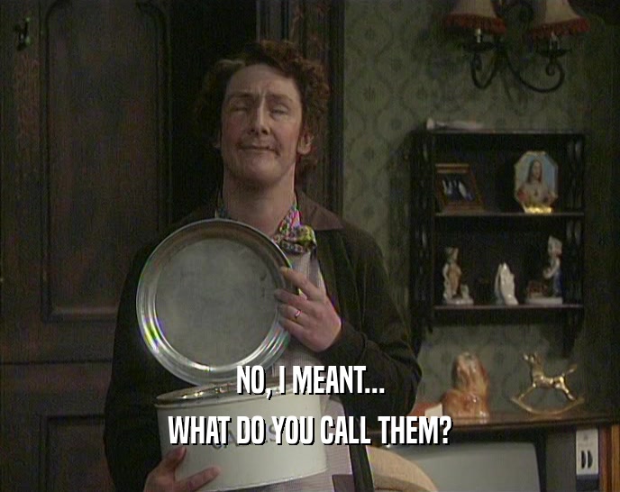 NO, I MEANT... WHAT DO YOU CALL THEM? 