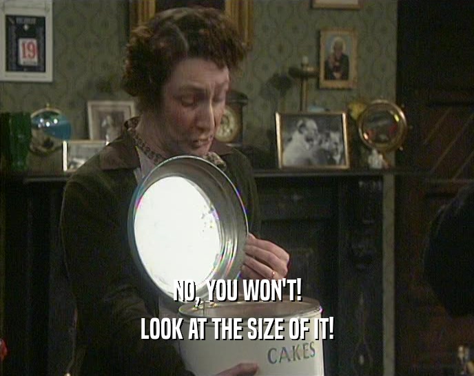 NO, YOU WON'T! LOOK AT THE SIZE OF IT! 