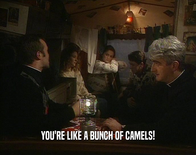 YOU'RE LIKE A BUNCH OF CAMELS!
  