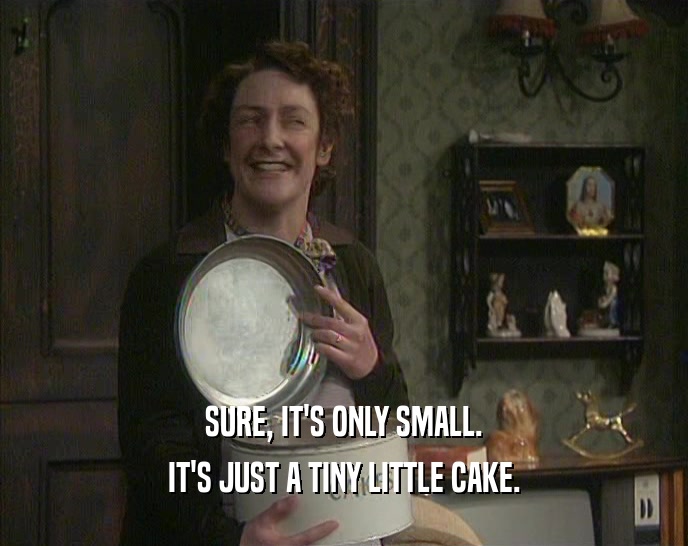 SURE, IT'S ONLY SMALL. IT'S JUST A TINY LITTLE CAKE. 