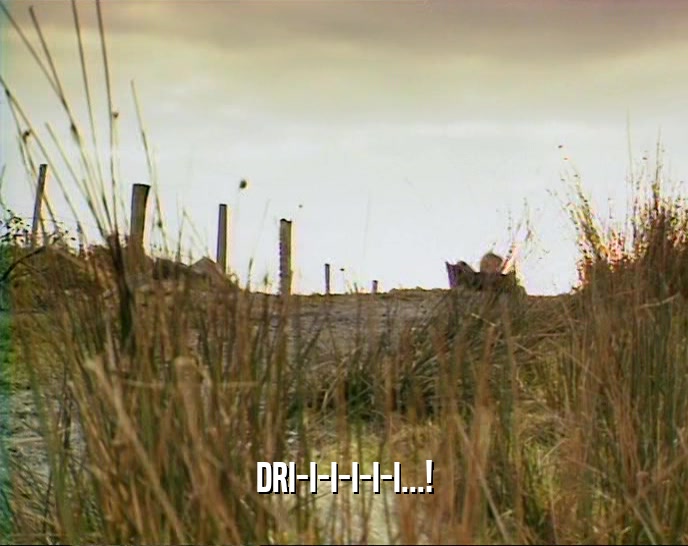 DRI-I-I-I-I-I...!  