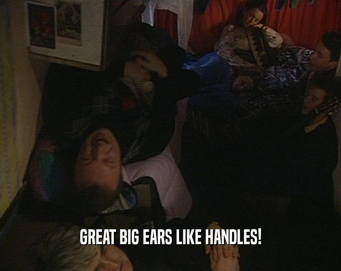 GREAT BIG EARS LIKE HANDLES!  
